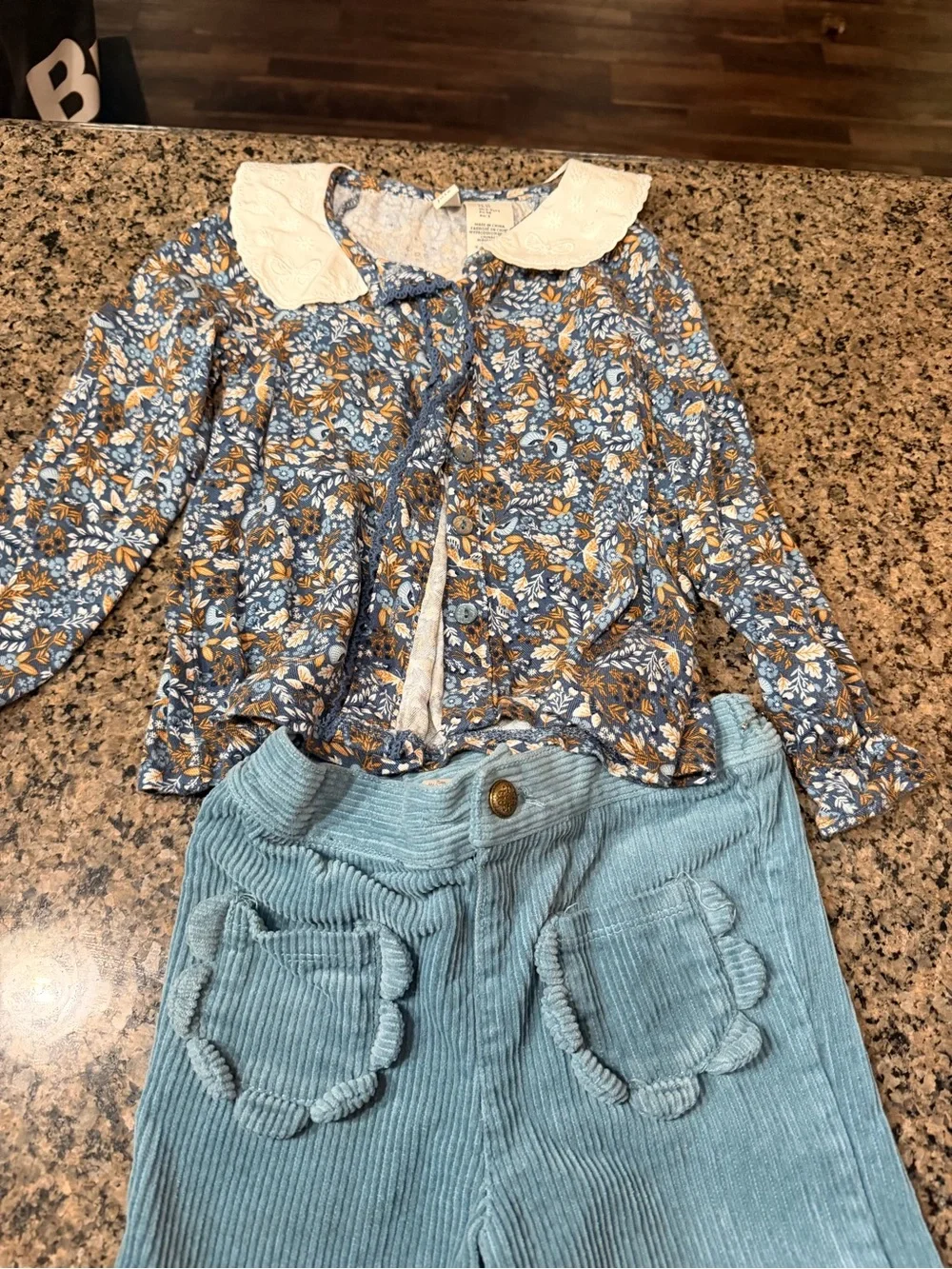 Joie Floral Top and Blue Corduroy Pants Set